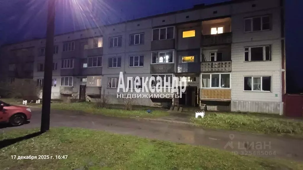 3-к кв. Ленинградская область, Кировский район, Суховское с/пос, д. ... - Фото 2