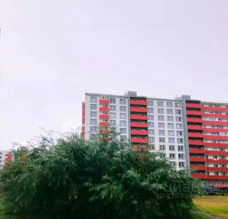 Студия Санкт-Петербург пос. Шушары, Московское ш., 262к4 (25.2 м) - Фото 0