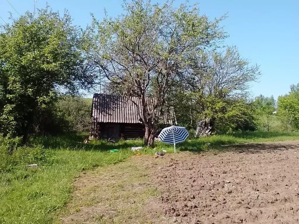 Дом в Псковская область, Островский район, Воронцовская волость, д. ... - Фото 1