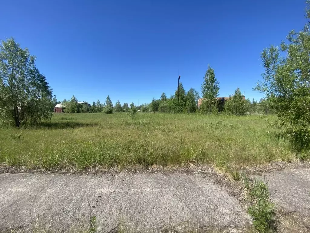 Участок в Ханты-Мансийский АО, Нижневартовск ул. Сибирская, 29 (12.0 ... - Фото 1
