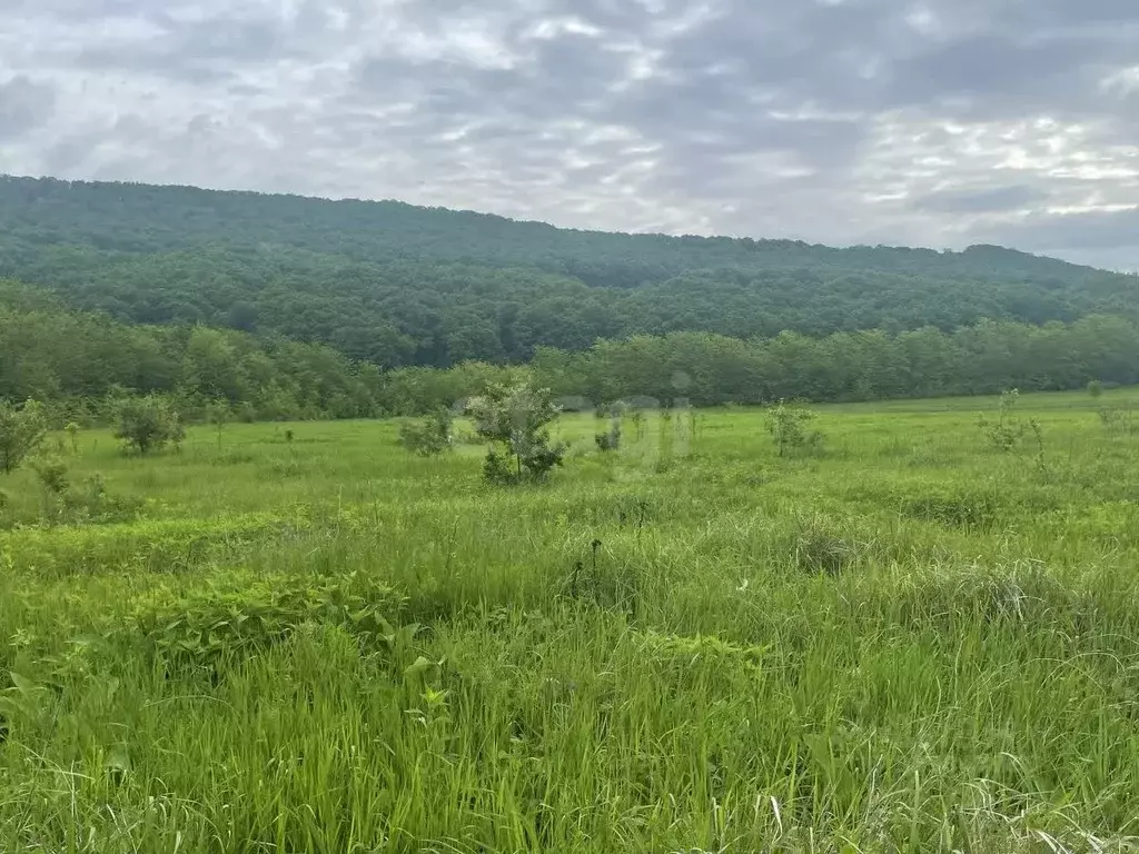 Участок в Адыгея, Майкопский район, Победенское с/пос, пос. Удобный  ... - Фото 1