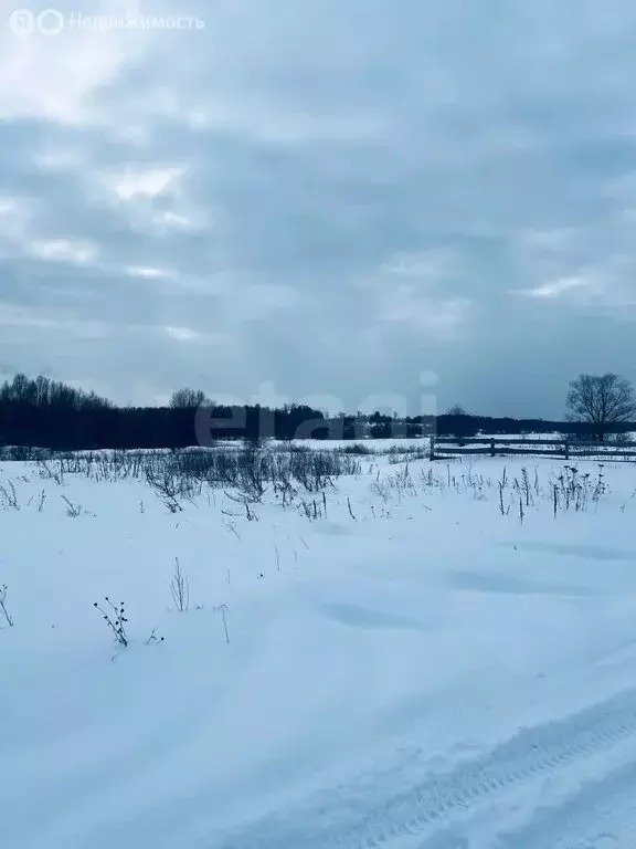 Участок в Калининградская область, Гвардейский муниципальный округ, ... - Фото 2