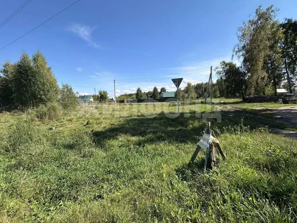 Участок в Новосибирская область, Новосибирский район, с. Боровое ул. ... - Фото 2