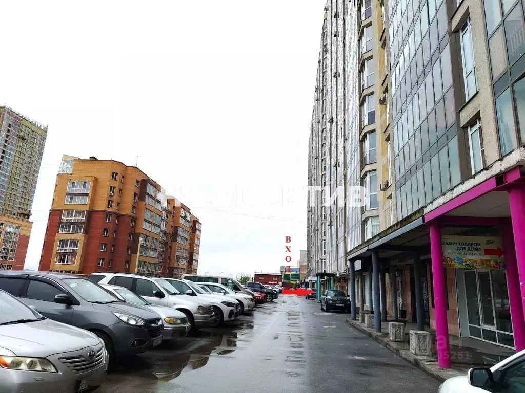 Помещение свободного назначения в Новосибирская область, Новосибирск ... - Фото 1