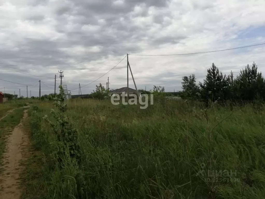 Участок в Воронежская область, Хохольское городское поселение, ... - Фото 1