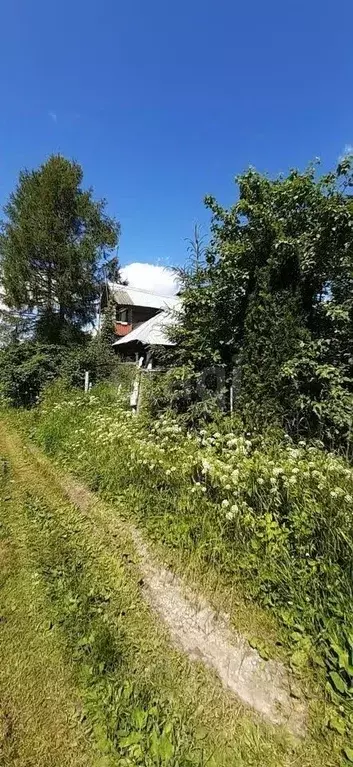 Дом в Ярославская область, Рыбинский муниципальный округ, д. Левино 7 ... - Фото 1