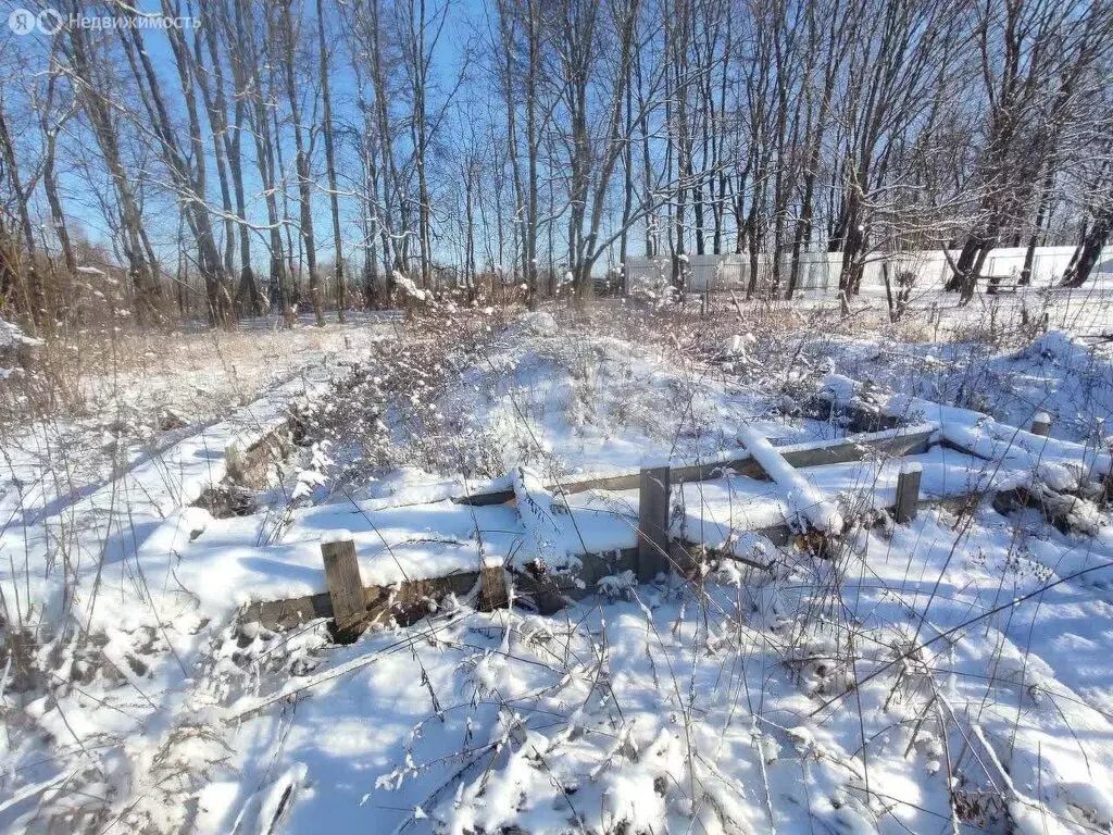 Участок в Тульская область, городской округ Тула, деревня Струково, ... - Фото 1