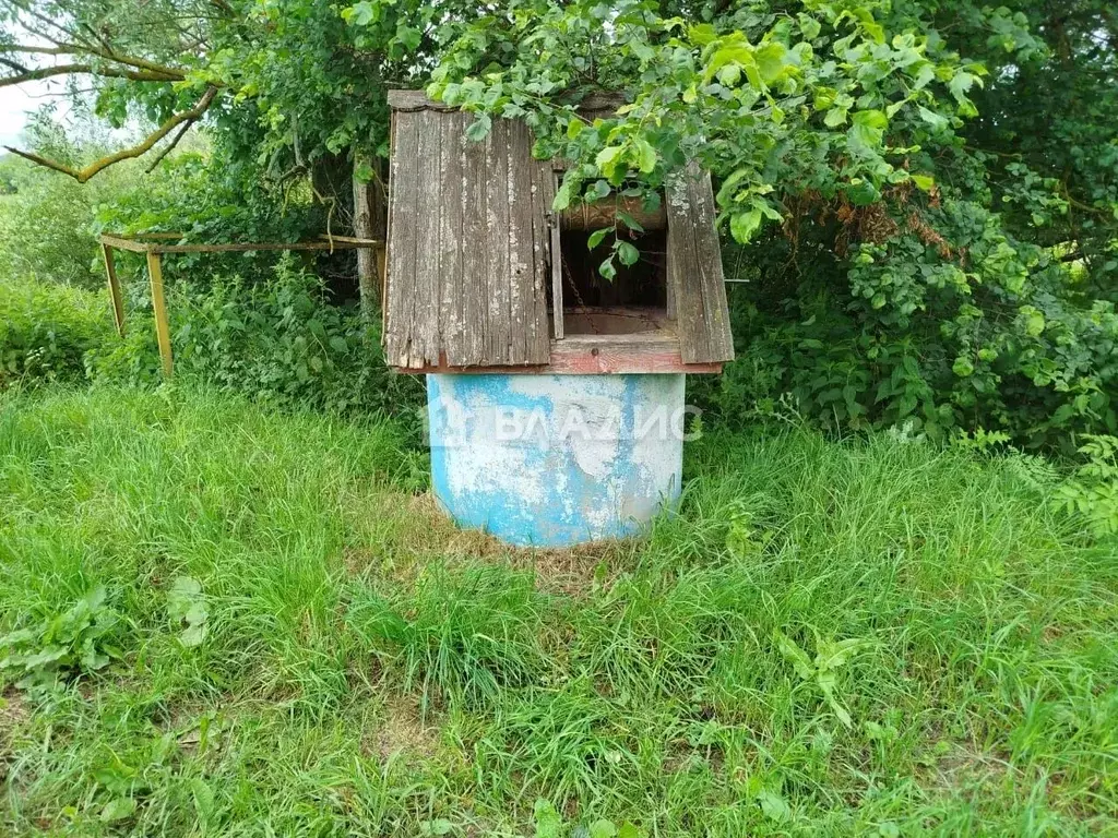 Участок в Московская область, Коломна городской округ, с. Васильево ... - Фото 0