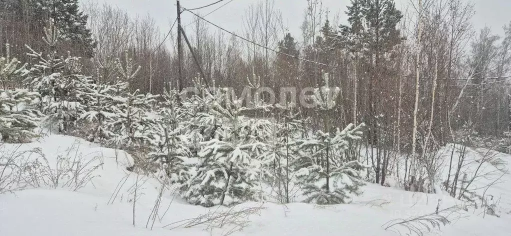 Участок в Иркутская область, Иркутский муниципальный округ, д. ... - Фото 1