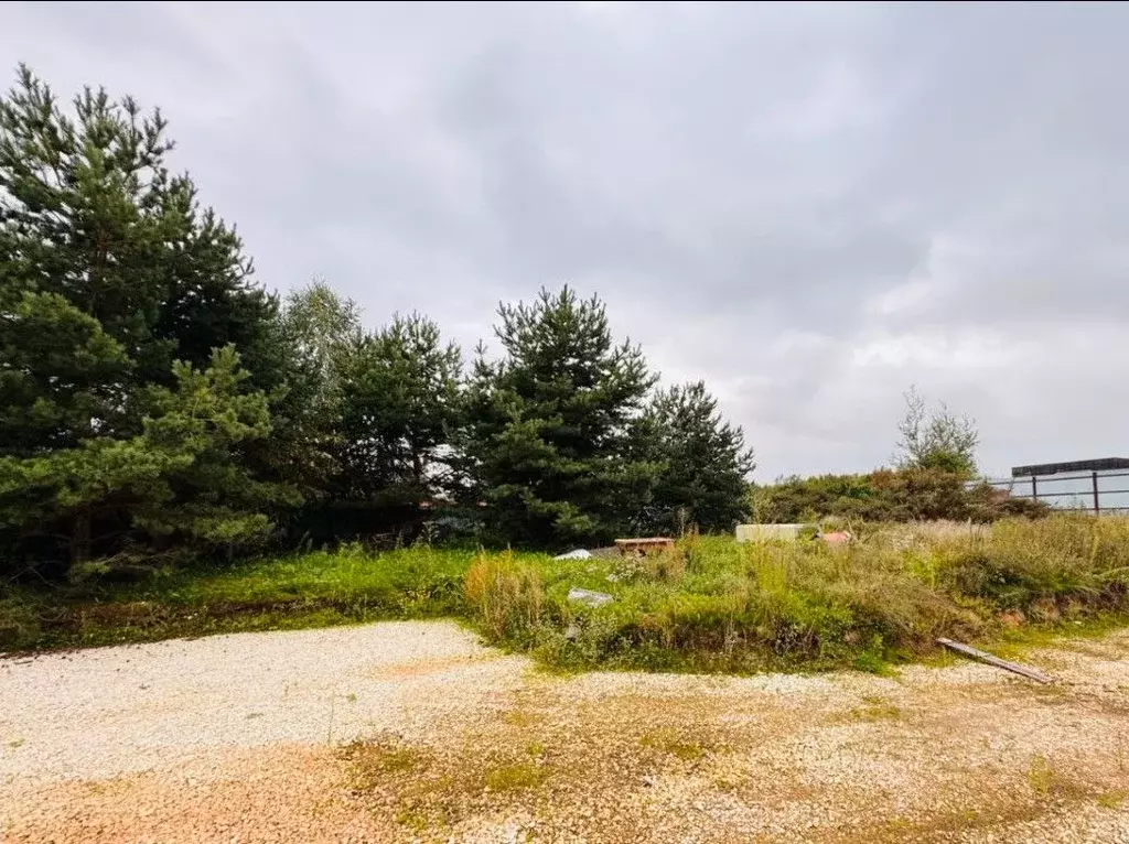 Участок в Московская область, Истра муниципальный округ, д. Чесноково  ... - Фото 1