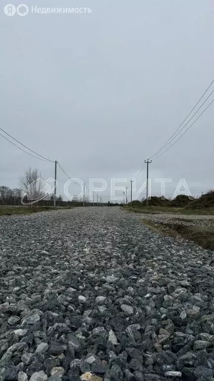 Участок в Нижнетавдинский район, садоводческое товарищество ... - Фото 1