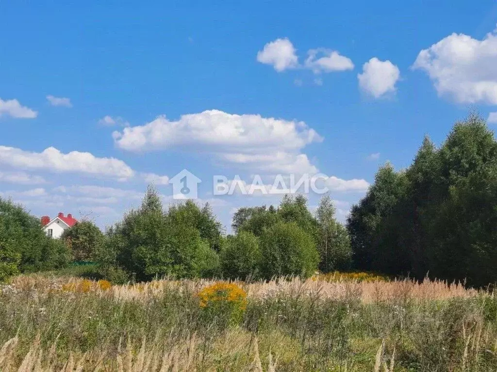 Участок в Владимирская область, Суздальский район, Селецкое ... - Фото 0