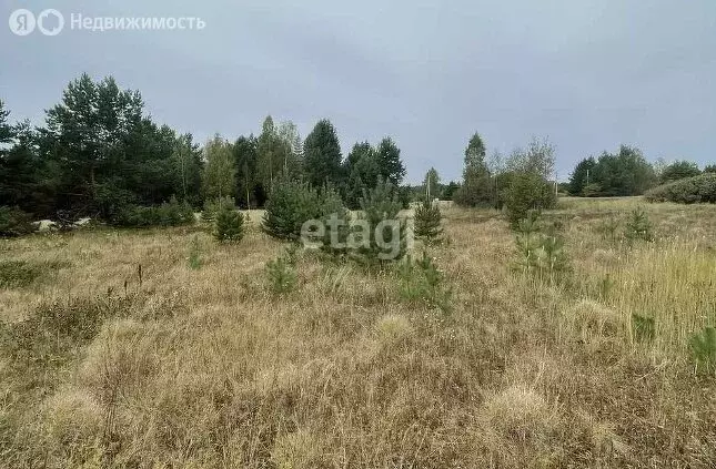 Участок в Кузнецкий район, СНТ Пригородное (4 м) - Фото 1