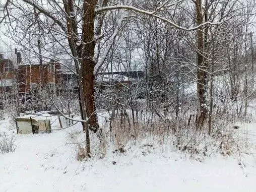 Участок в Московская область, Чехов муниципальный округ, д. Большое ... - Фото 1