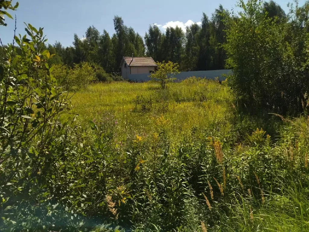 Продается участок в дп Рябинка-3 - Фото 1