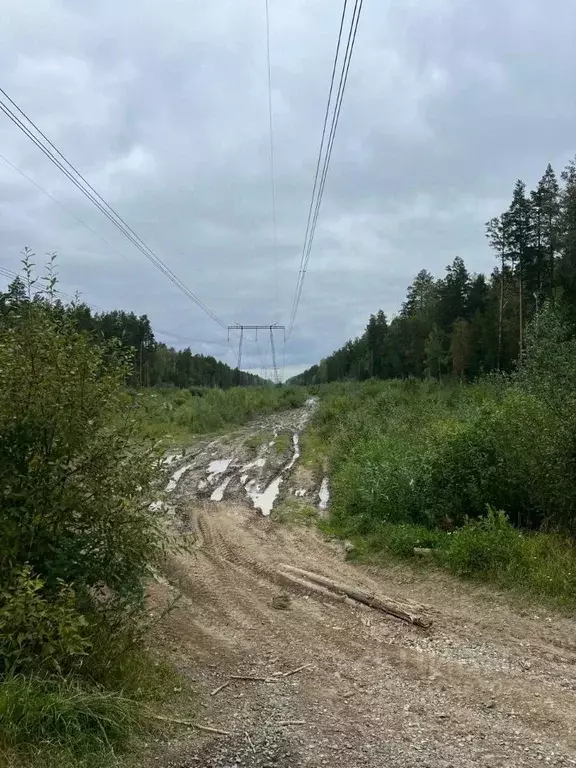 Участок в Свердловская область, Сысерть  (5.6 сот.) - Фото 1