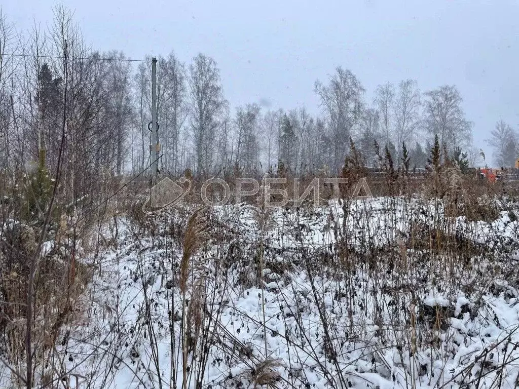 Участок в Тюменская область, Тюменский муниципальный округ, д. Якуши ... - Фото 2