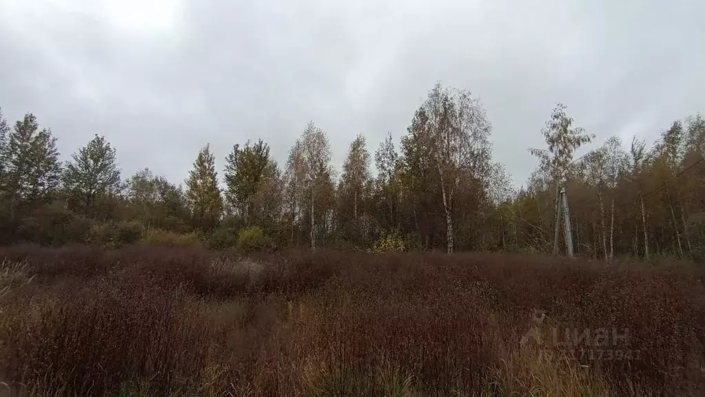 Участок в Московская область, Шатура  (6.0 сот.) - Фото 0