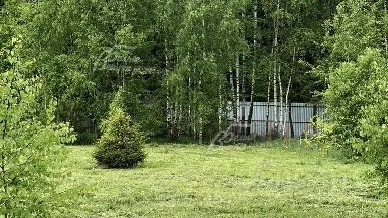 Участок в Москва Краснопахорское поселение, ул. 3-я Фиалковая, 53 ... - Фото 0