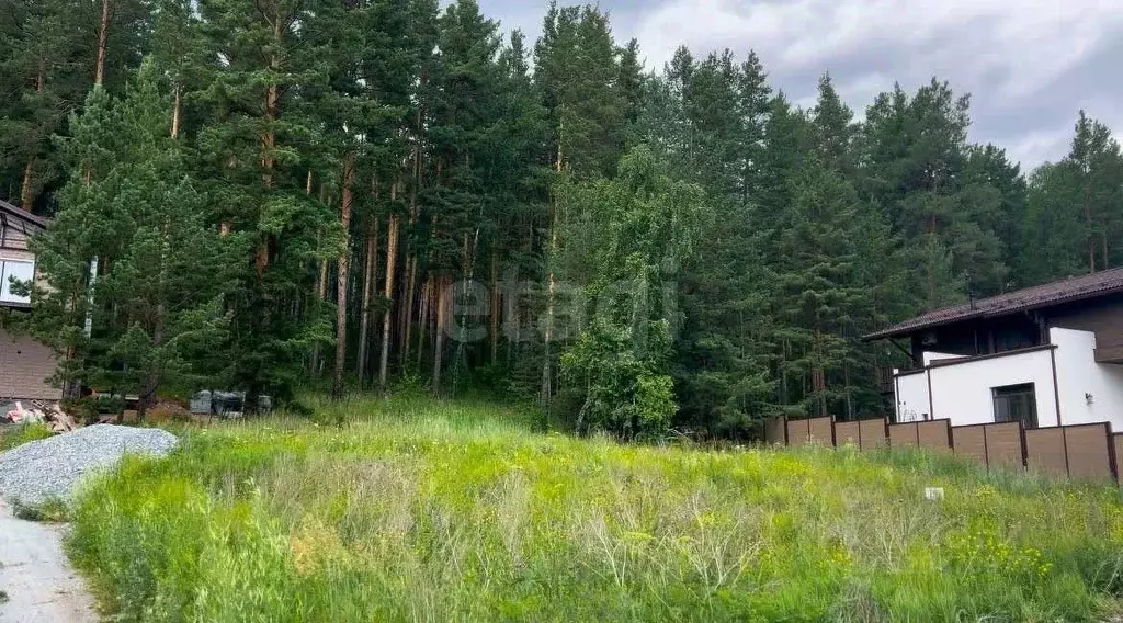 Участок в Челябинская область, Миасский городской округ, с. Сыростан ... - Фото 0