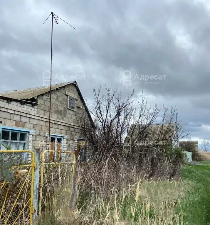 Дом в Волгоградская область, Городище рп Виноградная ул. (40 м) - Фото 0