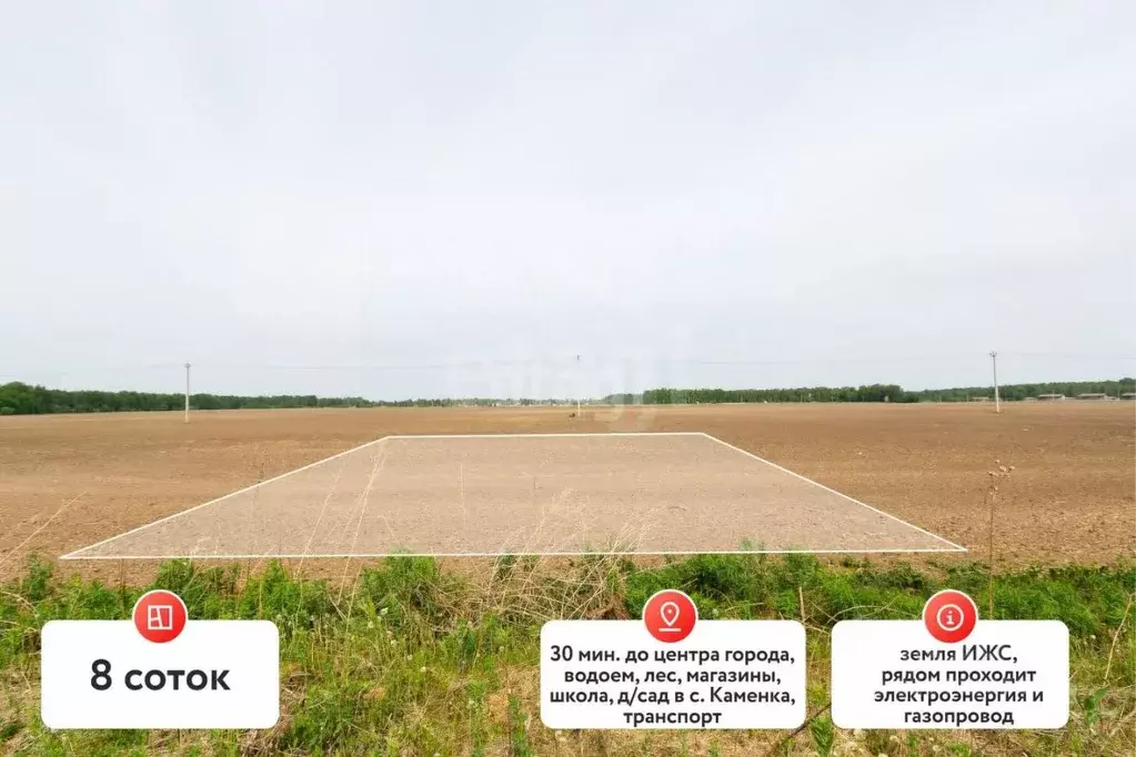 Участок в Тюменская область, Тюменский район, Новокаменский кп  (8.0 ... - Фото 1