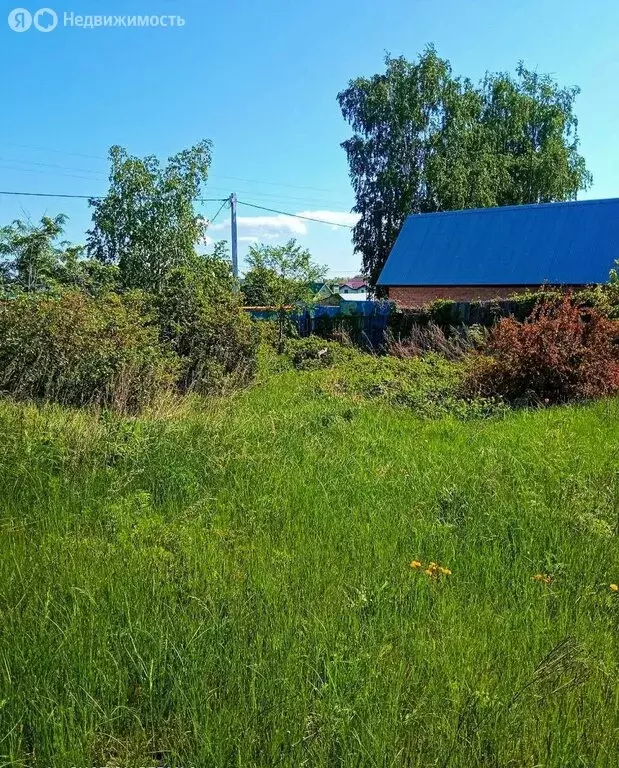 Участок в Красноярский район, городское поселение Новосемейкино, село ... - Фото 2