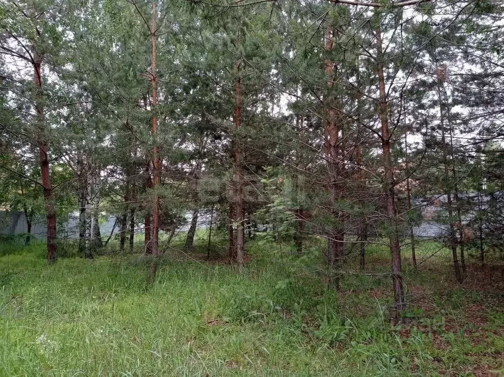 Участок в Воронежская область, Воронеж ул. Оскольская, 28 (9.65 сот.) - Фото 1