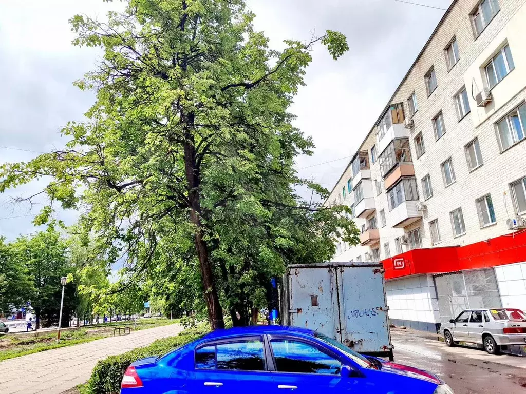 3-к. квартира, 62 м, 3/5 эт. - Фото 0