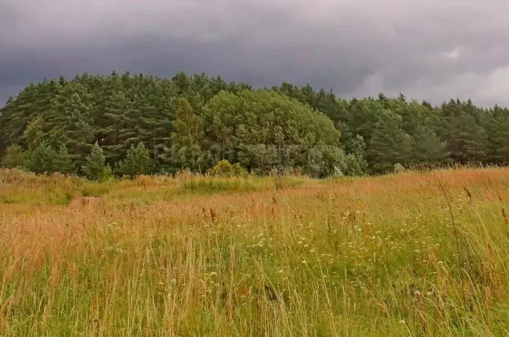 Участок в Калининградская область, Неманский муниципальный округ, с. ... - Фото 1