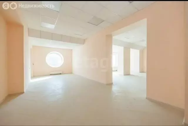 Помещение свободного назначения (233 м) - Фото 1