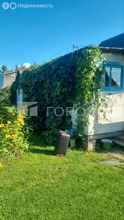 Дом в Колыванский район, СНТ Печать (40 м) - Фото 1