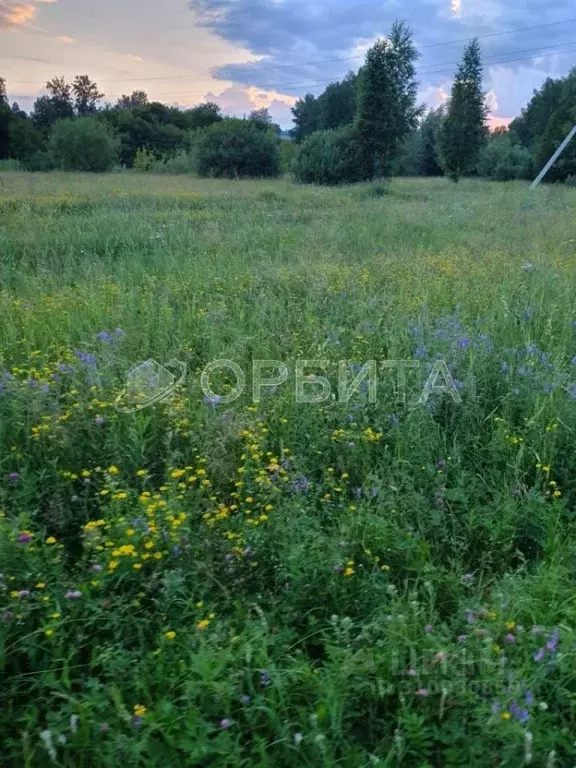 Участок в Тюменская область, Тюменский район, Винзили рп, Жасмин ДНТ ... - Фото 1