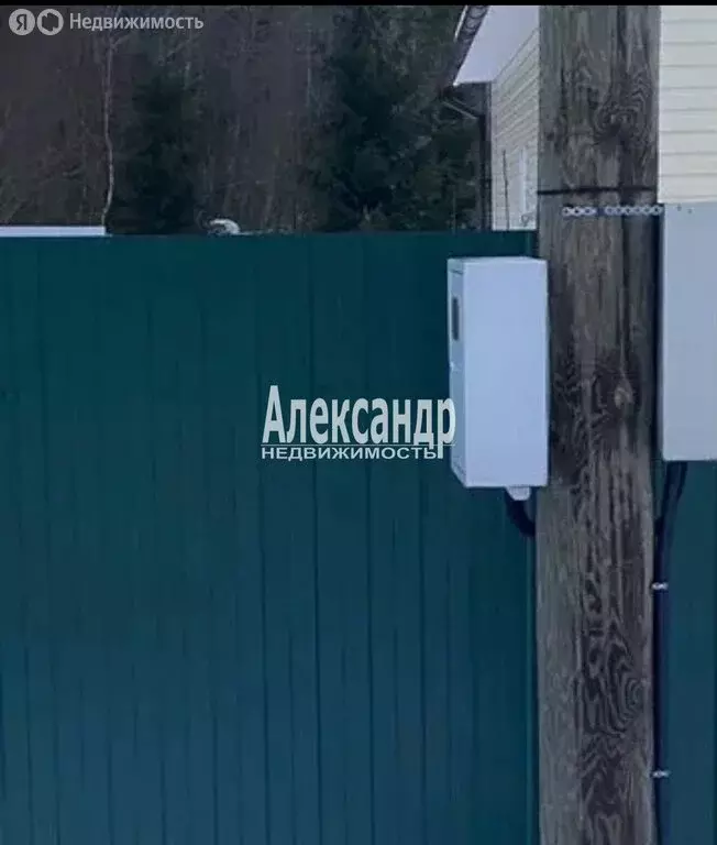 Участок в Приозерский район, Раздольевское сельское поселение, деревня ... - Фото 2