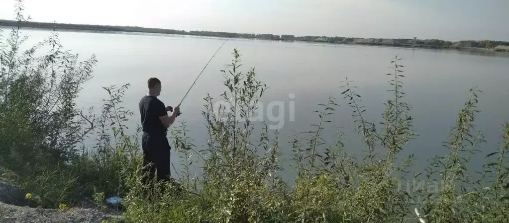 Участок в Новосибирская область, Новосибирский район, Криводановский ... - Фото 1