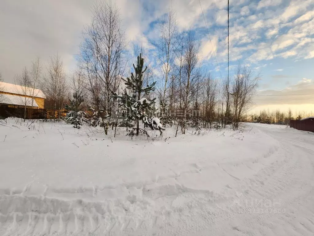 Участок в Владимирская область, Собинский муниципальный округ, д. ... - Фото 1