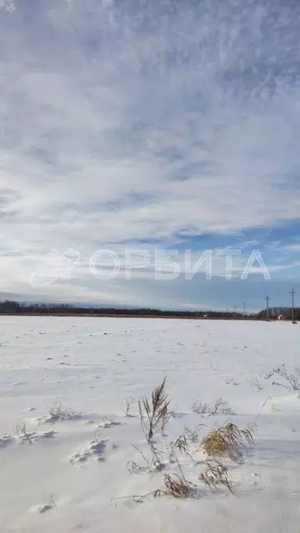 Участок в Тюменская область, Тюменский район, с. Горьковка Сибирская ... - Фото 0