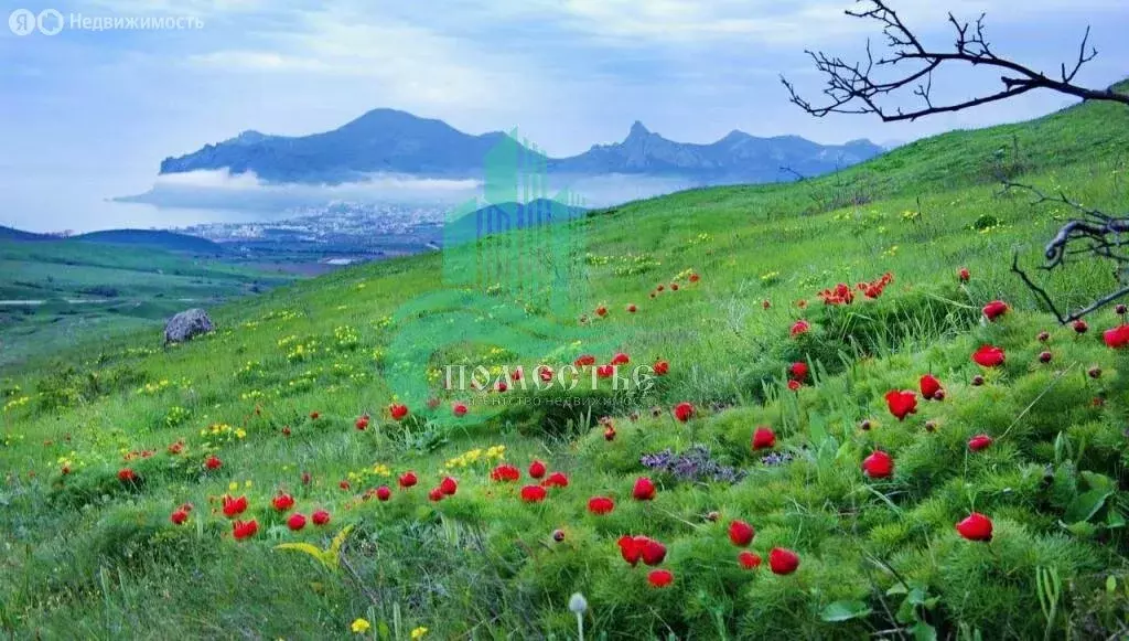 3-комнатная квартира: Коктебель, Долинный переулок, 23 (71.6 м) - Фото 1