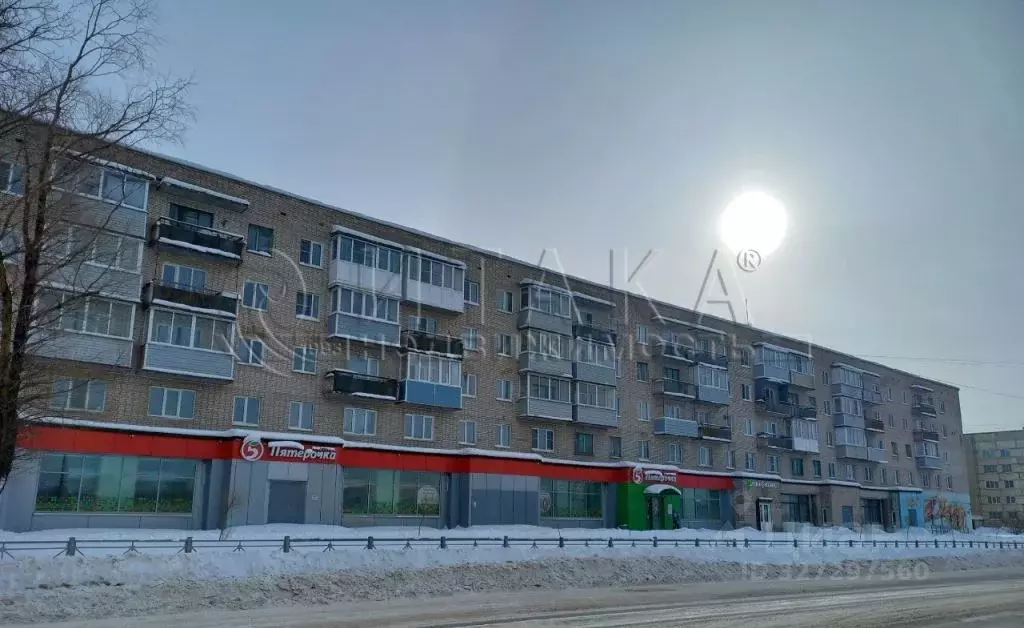 3-к кв. Ленинградская область, Пикалево г. Бокситогорский район, ... - Фото 1