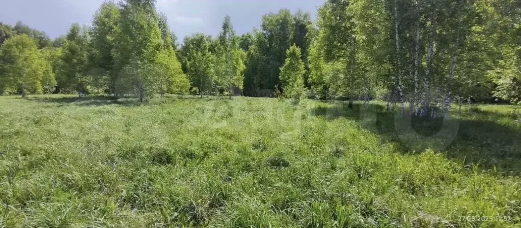 Участок в Новосибирская область, Новосибирский район, Каменский ... - Фото 2