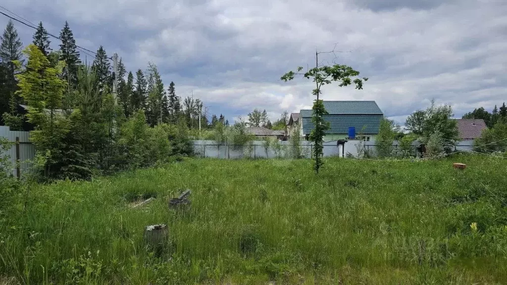 Участок в Московская область, Дмитровский муниципальный округ, ... - Фото 2