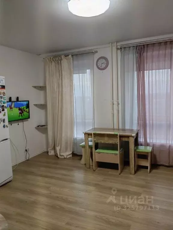 Студия Московская область, Одинцово ул. Рябиновая, 3 (27.0 м) - Фото 2