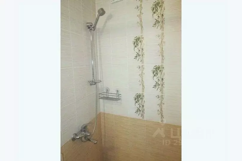 1-к кв. Крым, Алупка ул. Имени Розы Люксембург, 14Б (10.0 м) - Фото 2