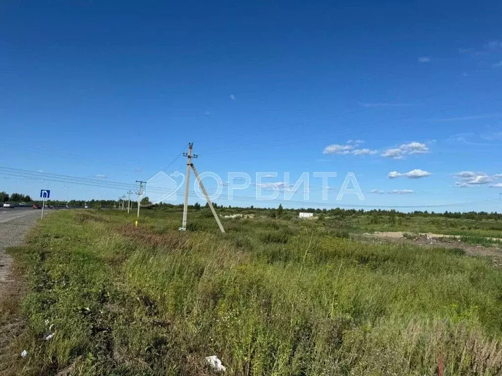 Участок в Тюменская область, Тюмень Березняки СНТ,  (6.0 сот.) - Фото 0