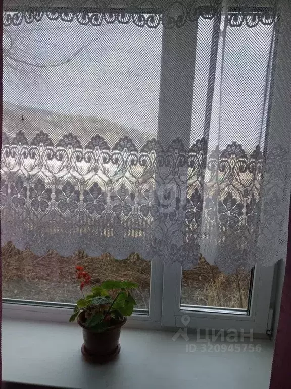 2-к кв. Алтайский край, Алтайский район, с. Сараса ул. Кузьмина, 52 ... - Фото 0
