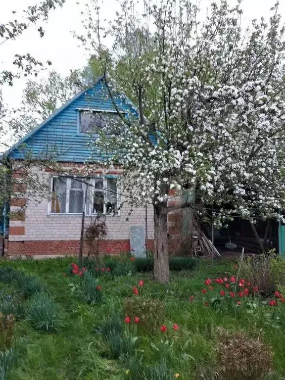 Дом в Воронежская область, Новоусманский район, Рождественско-Хавское ... - Фото 1