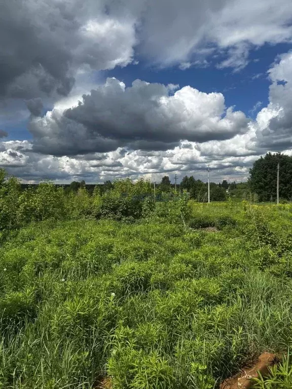 Участок в Нижегородская область, Богородский муниципальный округ, д. ... - Фото 2