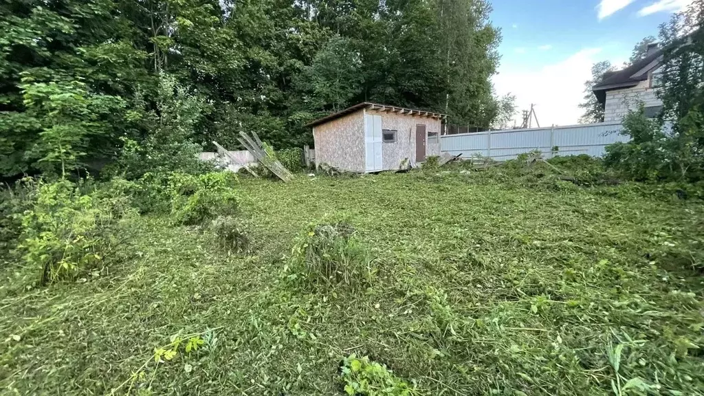 Участок в Ленинградская область, Ломоносовский район, Лопухинское ... - Фото 1