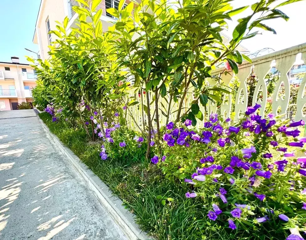 Дом в Краснодарский край, Сочи Адлер жилрайон, ул. Троицкая, 48с23 ... - Фото 2