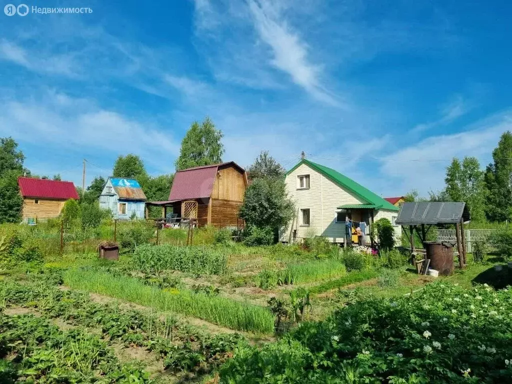 Участок в Плотниковский сельсовет, садоводческое товарищество ... - Фото 2